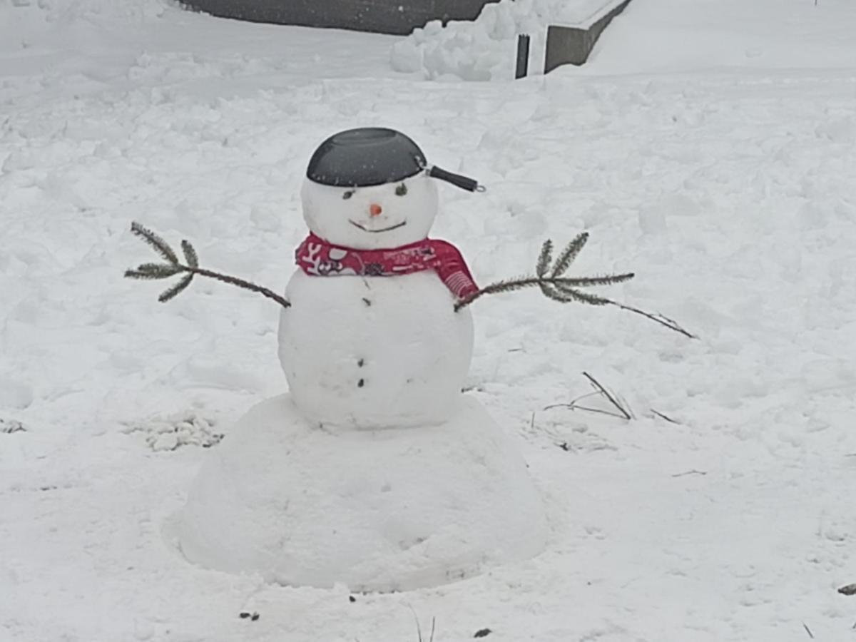 Apartmani Vidatela Kopaonik Bagian luar foto