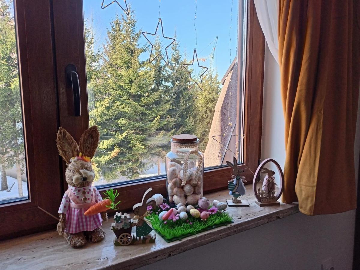 Apartmani Vidatela Kopaonik Bagian luar foto